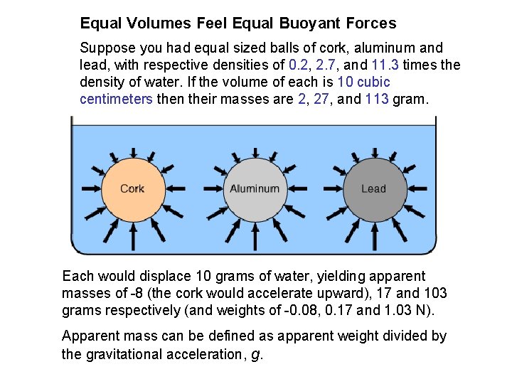 Equal Volumes Feel Equal Buoyant Forces Suppose you had equal sized balls of cork,