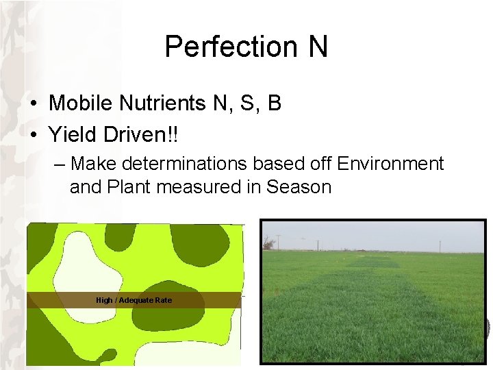 Perfection N • Mobile Nutrients N, S, B • Yield Driven!! – Make determinations Perfection N • Mobile Nutrients N, S, B • Yield Driven!! – Make determinations