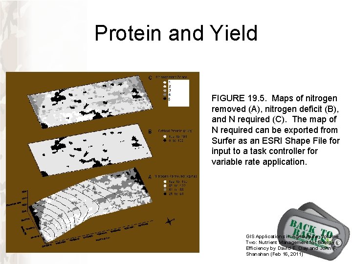 Protein and Yield FIGURE 19. 5. Maps of nitrogen removed (A), nitrogen deficit (B), Protein and Yield FIGURE 19. 5. Maps of nitrogen removed (A), nitrogen deficit (B),