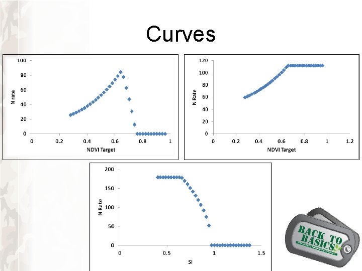 Curves Curves