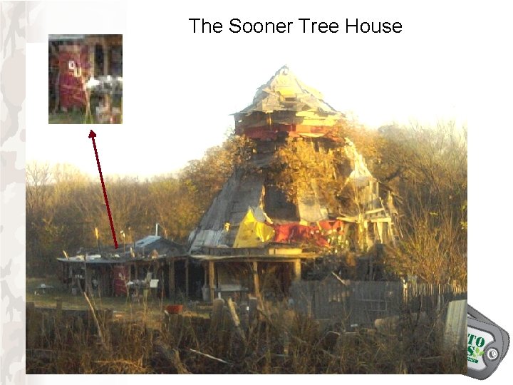 The Sooner Tree House The Sooner Tree House