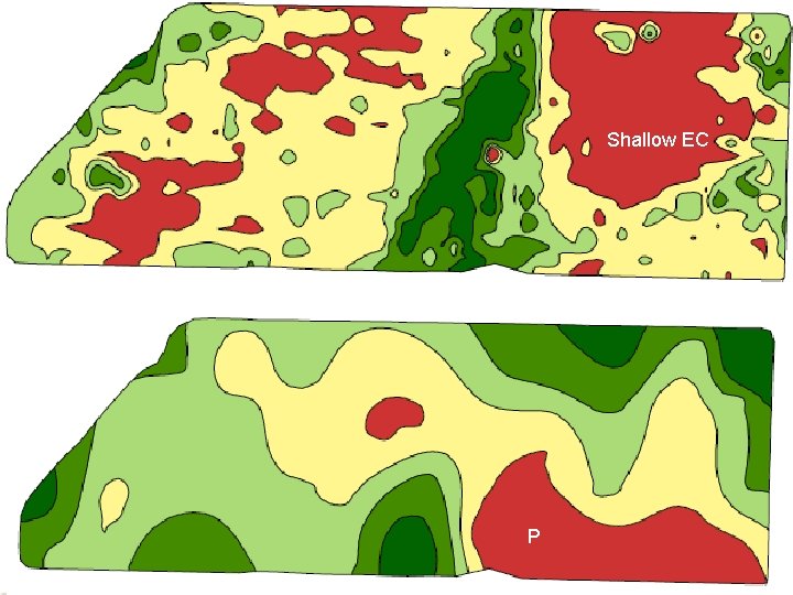 Shallow EC K Elevation Soil p. H P Shallow EC K Elevation Soil p. H P