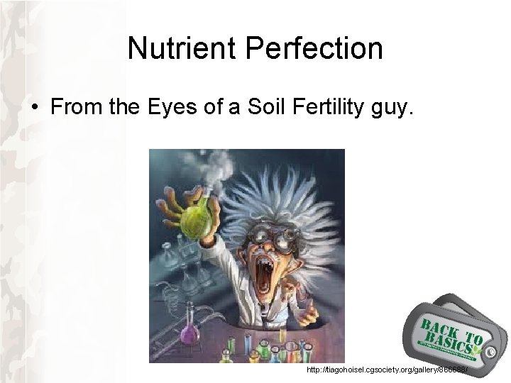 Nutrient Perfection • From the Eyes of a Soil Fertility guy. http: //tiagohoisel. cgsociety. Nutrient Perfection • From the Eyes of a Soil Fertility guy. http: //tiagohoisel. cgsociety.