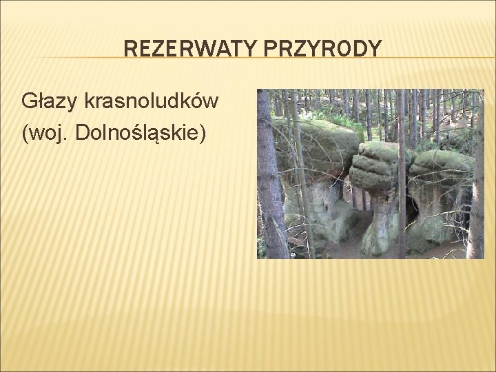 REZERWATY PRZYRODY Głazy krasnoludków (woj. Dolnośląskie) 