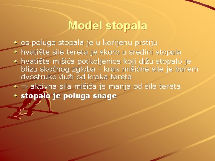 Model stopala os poluge stopala je u korijenu prstiju hvatište sile tereta je skoro