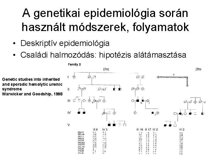 A genetikai epidemiológia során használt módszerek, folyamatok • Deskriptív epidemiológia • Családi halmozódás: hipotézis