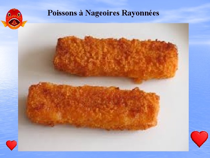 Poissons à Nageoires Rayonnées 