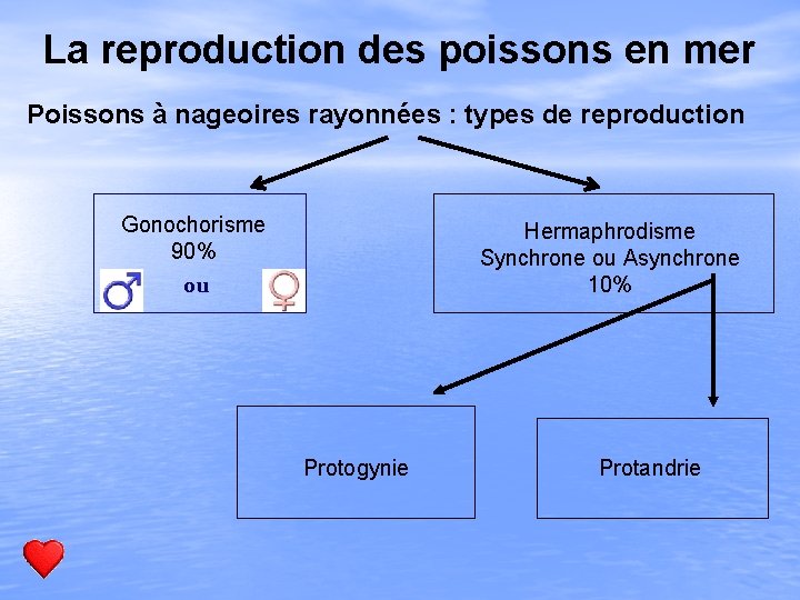 La reproduction des poissons en mer Poissons à nageoires rayonnées : types de reproduction