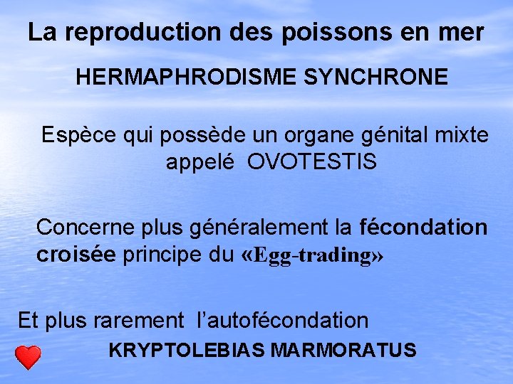 La reproduction des poissons en mer HERMAPHRODISME SYNCHRONE Espèce qui possède un organe génital