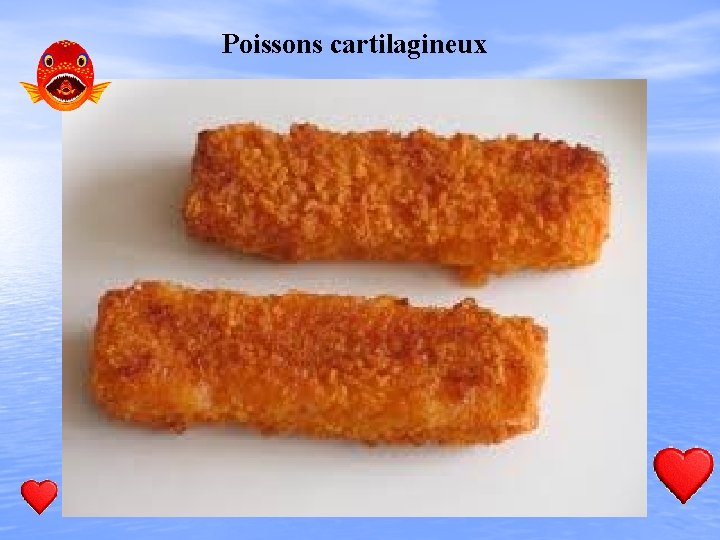 Poissons cartilagineux 