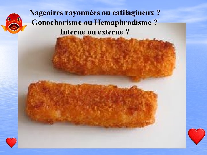 Nageoires rayonnées ou catilagineux ? Gonochorisme ou Hemaphrodisme ? Interne ou externe ? 