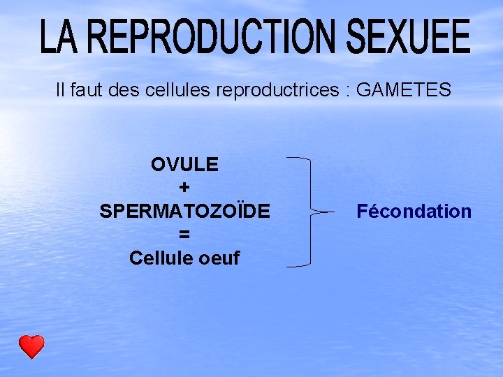 Il faut des cellules reproductrices : GAMETES OVULE + SPERMATOZOÏDE = Cellule oeuf Fécondation