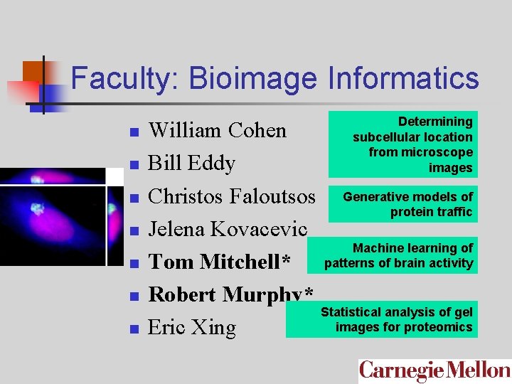 Faculty: Bioimage Informatics n n n n Determining subcellular location from microscope images William