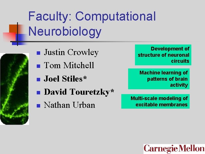 Faculty: Computational Neurobiology n n n Justin Crowley Tom Mitchell Joel Stiles* David Touretzky*