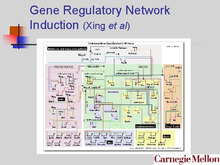 Gene Regulatory Network Induction (Xing et al) 