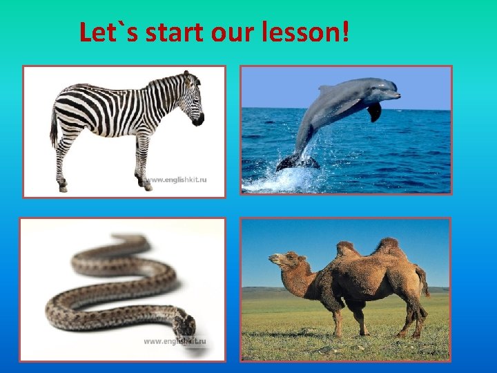 Let`s start our lesson! 