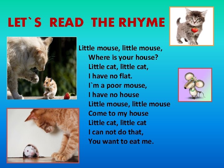 LET`S READ THE RHYME Little mouse, little mouse, Where is your house? Little cat,