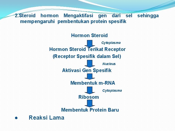 2. Steroid hormon Mengaktifasi gen dari sel sehingga mempengaruhi pembentukan protein spesifik Hormon Steroid