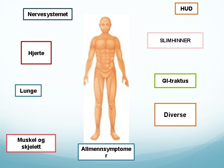 HUD Nervesystemet SLIMHINNER Hjerte GI-traktus Lunge Diverse Muskel og skjelett Allmennsymptome r 