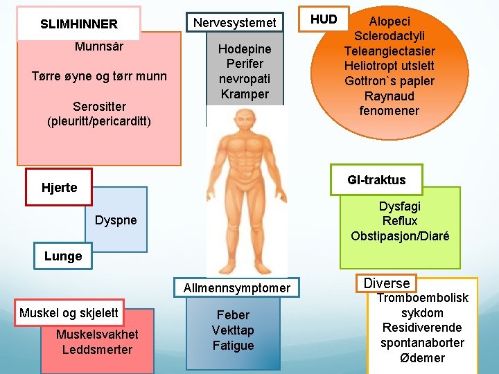 SLIMHINNER Munnsår Tørre øyne og tørr munn Serositter (pleuritt/pericarditt) Nervesystemet Hodepine Perifer nevropati Kramper