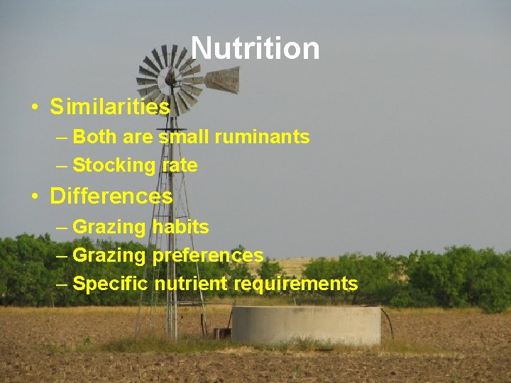 Nutrition • Similarities – Both are small ruminants – Stocking rate • Differences –