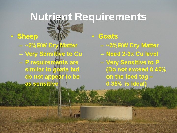 Nutrient Requirements • Sheep – ~2%BW Dry Matter – Very Sensitive to Cu –