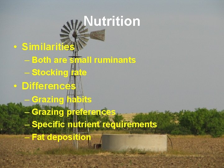 Nutrition • Similarities – Both are small ruminants – Stocking rate • Differences –