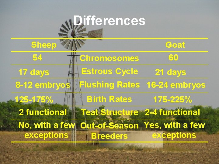 Differences Sheep 54 17 days 8 -12 embryos Chromosomes Goat 60 Estrous Cycle 21