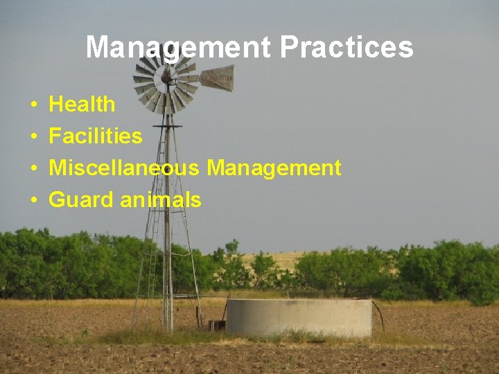 Management Practices • • Health Facilities Miscellaneous Management Guard animals 