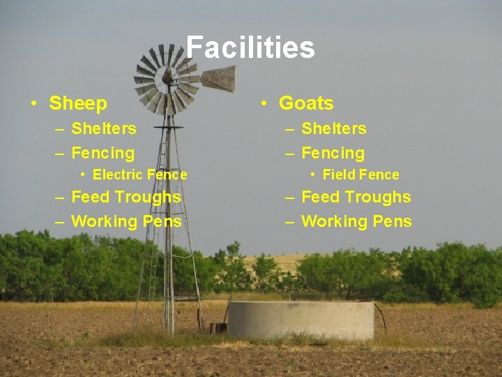 Facilities • Sheep – Shelters – Fencing • Electric Fence – Feed Troughs –