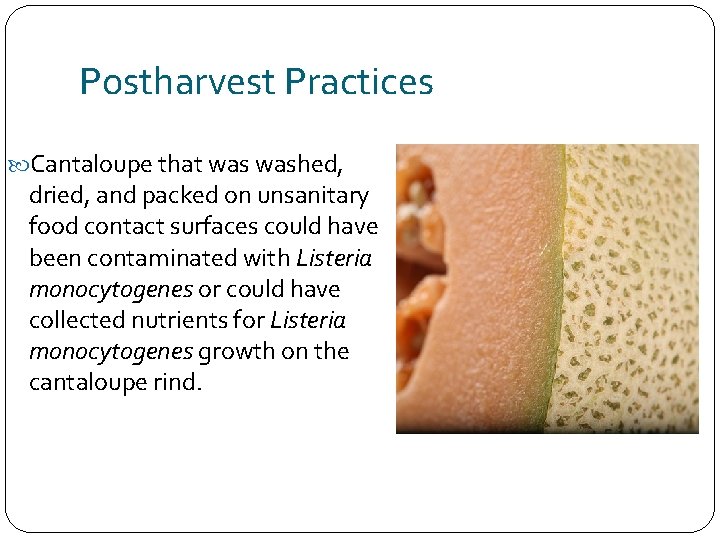Postharvest Practices Cantaloupe that washed, dried, and packed on unsanitary food contact surfaces could