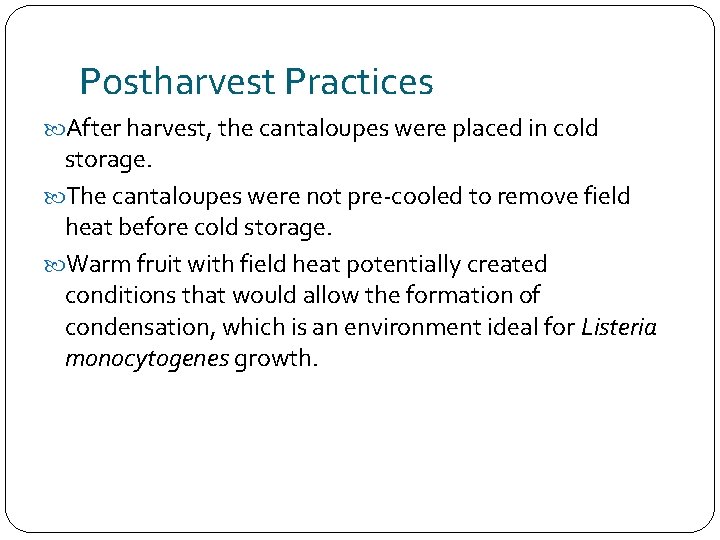 Postharvest Practices After harvest, the cantaloupes were placed in cold storage. The cantaloupes were