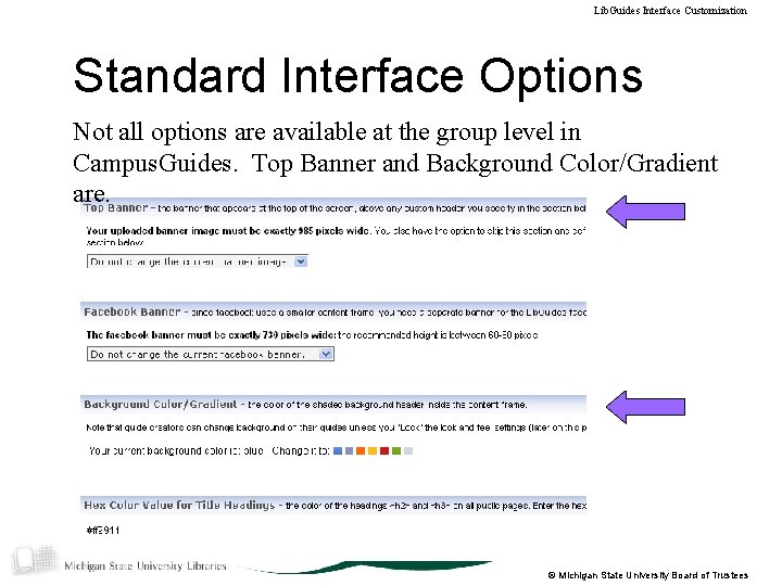 Lib. Guides Interface Customization Standard Interface Options Not all options are available at the