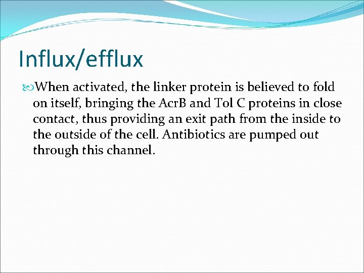 Influx/efflux When activated, the linker protein is believed to fold on itself, bringing the