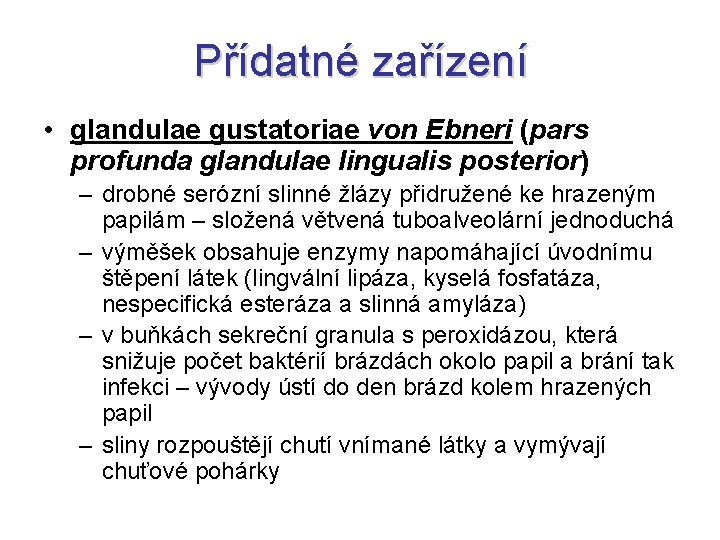 Přídatné zařízení • glandulae gustatoriae von Ebneri (pars profunda glandulae lingualis posterior) – drobné