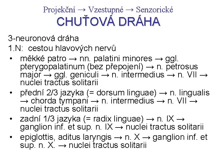 Projekční → Vzestupné → Senzorické CHUŤOVÁ DRÁHA 3 -neuronová dráha 1. N: cestou hlavových