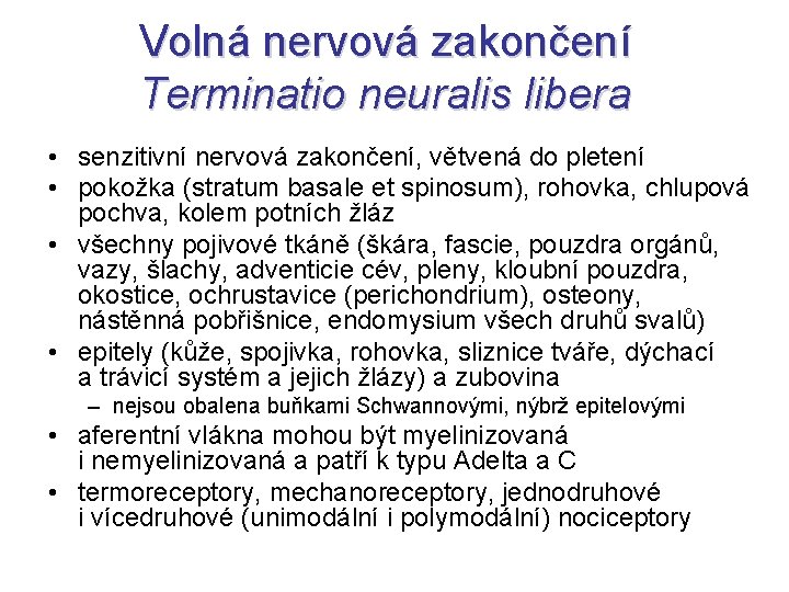 Volná nervová zakončení Terminatio neuralis libera • senzitivní nervová zakončení, větvená do pletení •