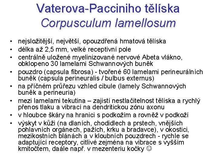 Vaterova-Pacciniho tělíska Corpusculum lamellosum • nejsložitější, největší, opouzdřená hmatová tělíska • délka až 2,