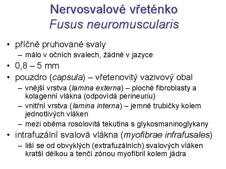 Nervosvalové vřeténko Fusus neuromuscularis • příčně pruhované svaly – málo v očních svalech, žádné