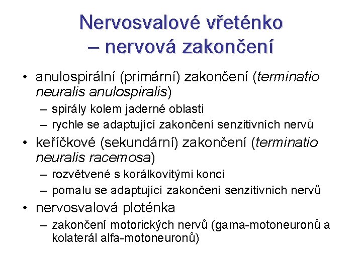Nervosvalové vřeténko – nervová zakončení • anulospirální (primární) zakončení (terminatio neuralis anulospiralis) – spirály