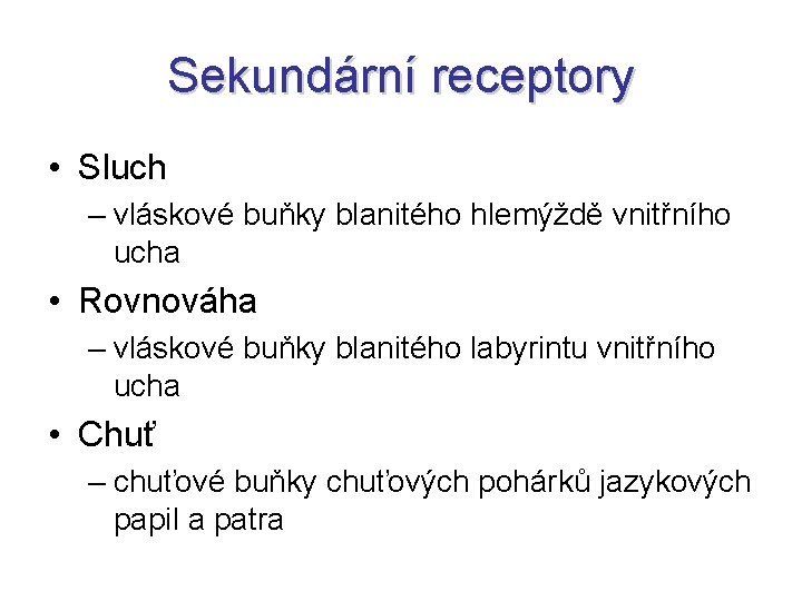 Sekundární receptory • Sluch – vláskové buňky blanitého hlemýždě vnitřního ucha • Rovnováha –