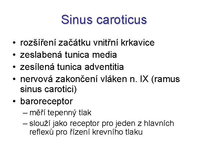 Sinus caroticus • • rozšíření začátku vnitřní krkavice zeslabená tunica media zesílená tunica adventitia