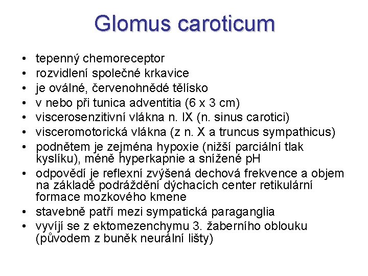Glomus caroticum • • tepenný chemoreceptor rozvidlení společné krkavice je oválné, červenohnědé tělísko v