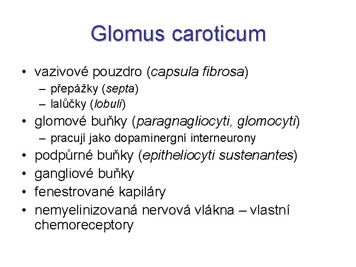 Glomus caroticum • vazivové pouzdro (capsula fibrosa) – přepážky (septa) – lalůčky (lobuli) •