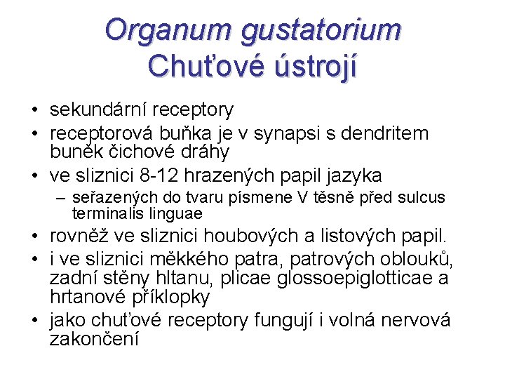 Organum gustatorium Chuťové ústrojí • sekundární receptory • receptorová buňka je v synapsi s