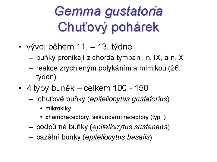 Gemma gustatoria Chuťový pohárek • vývoj během 11. – 13. týdne – buňky pronikají