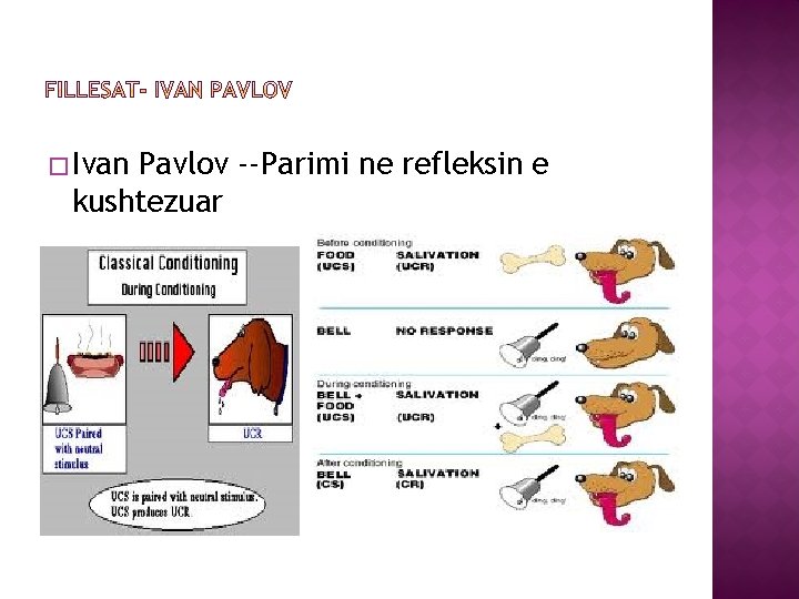 � Ivan Pavlov --Parimi ne refleksin e kushtezuar 