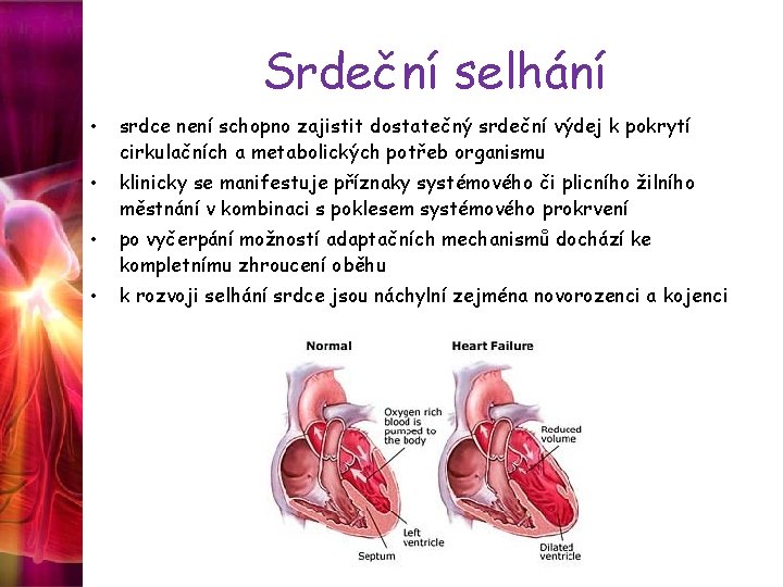 Srdeční selhání • srdce není schopno zajistit dostatečný srdeční výdej k pokrytí cirkulačních a