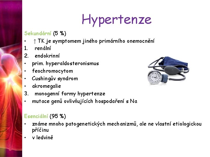 Hypertenze Sekundární (5 %) • ↑ TK je symptomem jiného primárního onemocnění 1. renální