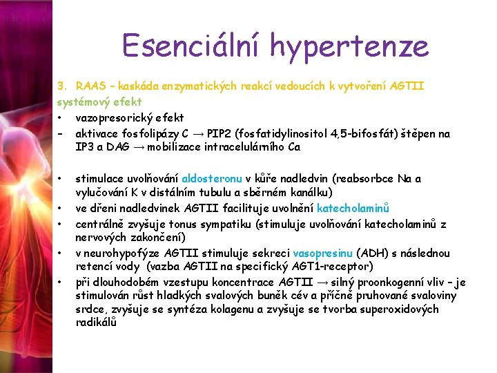 Esenciální hypertenze 3. RAAS – kaskáda enzymatických reakcí vedoucích k vytvoření AGTII systémový efekt